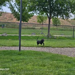 Nampa Dog Park - Nampa