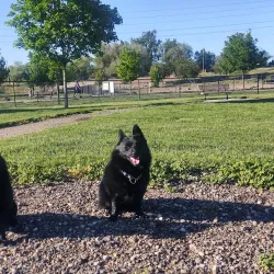 Nampa Dog Park - Nampa