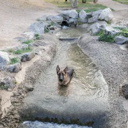 Nampa Dog Park - Nampa
