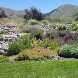 Sawtooth Botanical Garden - Nampa