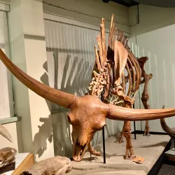 Idaho Museum of Natural History - Pocatello