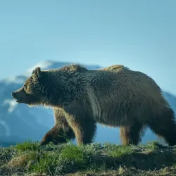 Pocatello Zoo - Pocatello