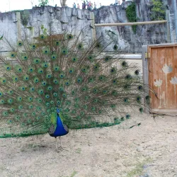 Pocatello Zoo - Pocatello