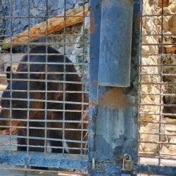Pocatello Zoo - Pocatello
