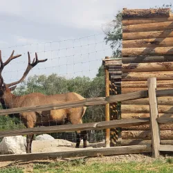 Pocatello Zoo - Pocatello