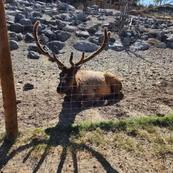 Pocatello Zoo - Pocatello