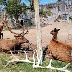 Pocatello Zoo - Pocatello