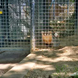 Pocatello Zoo - Pocatello