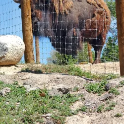 Pocatello Zoo - Pocatello