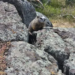 Dierkes Lake Park - Twin Falls
