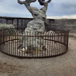 Snake River Canyon - Twin Falls