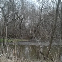 Addison Commons Park - Addison