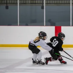 Addison Ice Arena - Addison