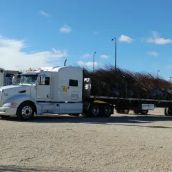 Downtown Addison - Addison