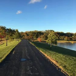 Downtown Addison - Addison