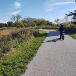 Downtown Addison - Addison