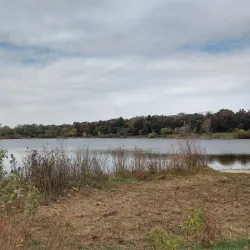 Downtown Addison - Addison