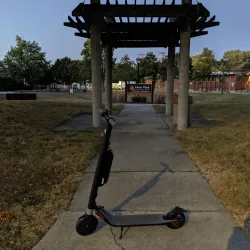 Lions Park - Addison