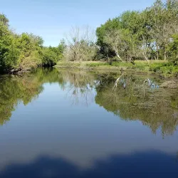 Salt Creek Park - Addison