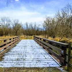 Salt Creek Park - Addison