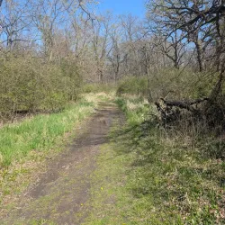 Salt Creek Park - Addison