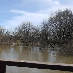 Salt Creek Park - Addison