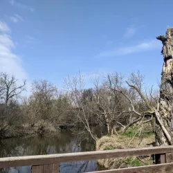 Salt Creek Park - Addison