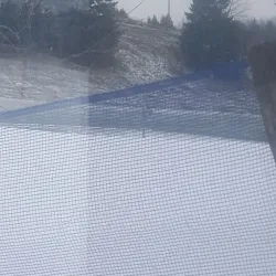 Villa Olivia - Addison