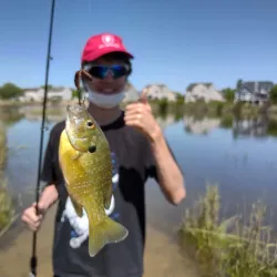 Algonquin Lakes Park - Algonquin