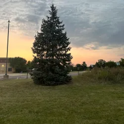 Algonquin Lakes Park - Algonquin