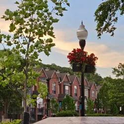 Algonquin Riverwalk Park - Algonquin