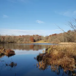 Deer Grove Forest Preserve - Algonquin