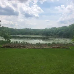 Deer Grove Forest Preserve - Algonquin