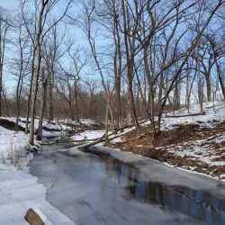 Deer Grove Forest Preserve - Algonquin