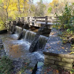 Deer Grove Forest Preserve - Algonquin