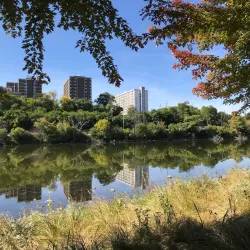 Fox River Trail - Algonquin