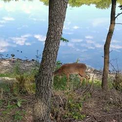 Fox River Trail - Algonquin