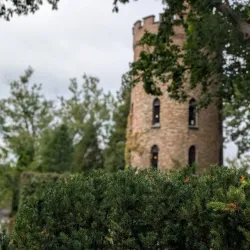 Fox River Trail - Algonquin