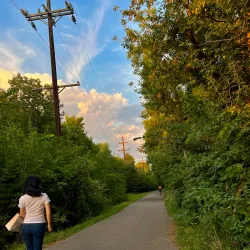 Fox River Trail - Algonquin