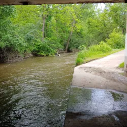 Ratt Creek Forest Preserve - Algonquin