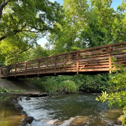 Ratt Creek Forest Preserve - Algonquin