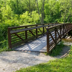 Ratt Creek Forest Preserve - Algonquin