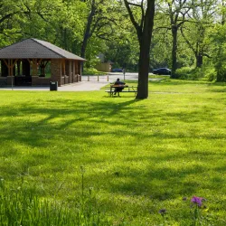 Ratt Creek Forest Preserve - Algonquin