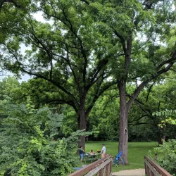 Ratt Creek Forest Preserve - Algonquin