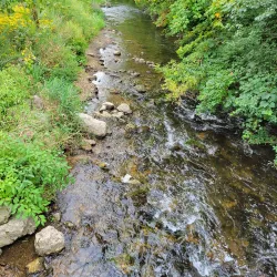 Towne Park - Algonquin