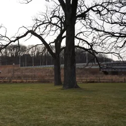 Towne Park - Algonquin