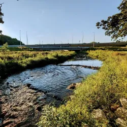 Towne Park - Algonquin