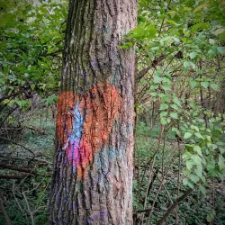 Piasa Bird Mural and Legend - Alton