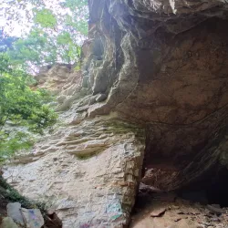 Piasa Bird Mural and Legend - Alton