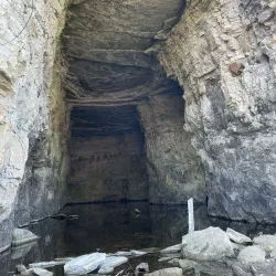 Piasa Bird Mural and Legend - Alton